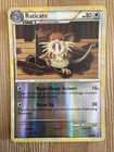 Raticate