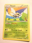 Ninjask