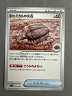 Old Dome Fossil