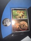 Ponyta
