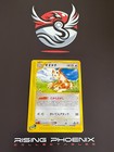 Furret