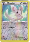 Minccino