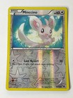 Minccino