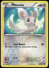 Minccino