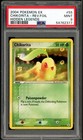 Chikorita