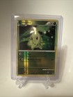 Chikorita