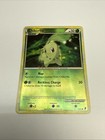 Chikorita