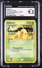 Chikorita