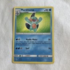 Marshtomp