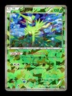 Black Kyurem [Cracked Ice] 