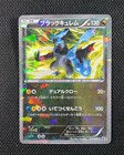 Black Kyurem [Cracked Ice] 