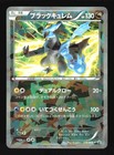 Black Kyurem [Cracked Ice] 