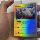 Zangoose