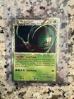 Meganium