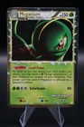 Meganium