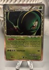 Meganium