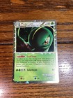 Meganium