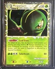 Meganium