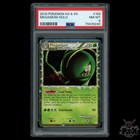 Meganium