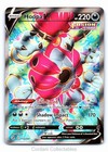 Hoopa V