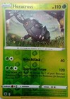 Heracross