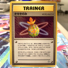 Miracle Berry