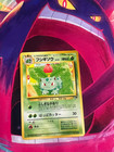 Ivysaur