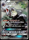 Silvally GX