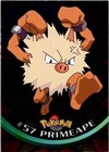 Primeape