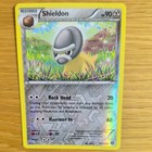 Shieldon
