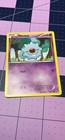Woobat