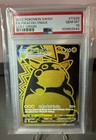 Pikachu VMAX