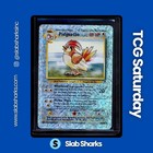 Pidgeotto
