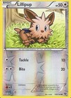 Lillipup