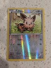 Lillipup