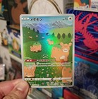 Ditto