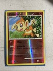 Chimchar