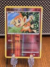 Chimchar