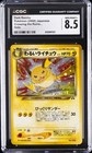 Dark Raichu
