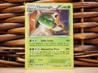 Chesnaught