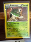 Chesnaught