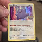 Ditto