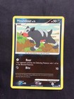 Houndour