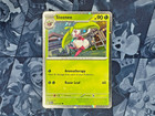 Steenee