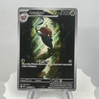 Accelgor