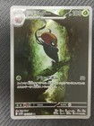 Accelgor