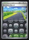 Cycling Road