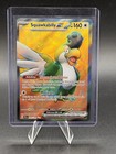 Squawkabilly ex