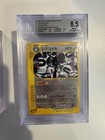 Magneton