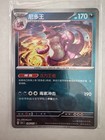 Nidoking